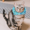 Bejeweled Stripes Birdsbesafe® Collar Cover