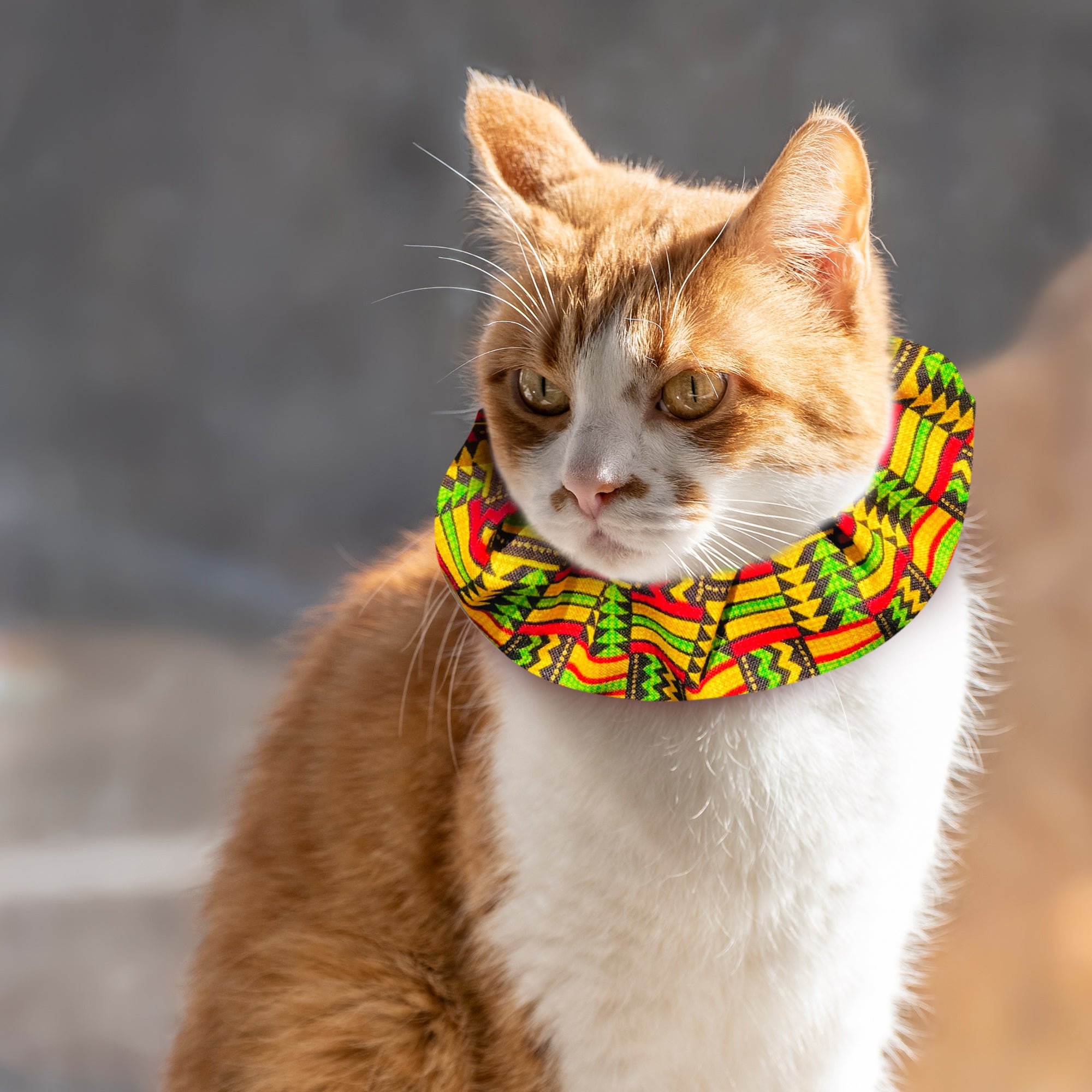 Fluffy sales cat collar