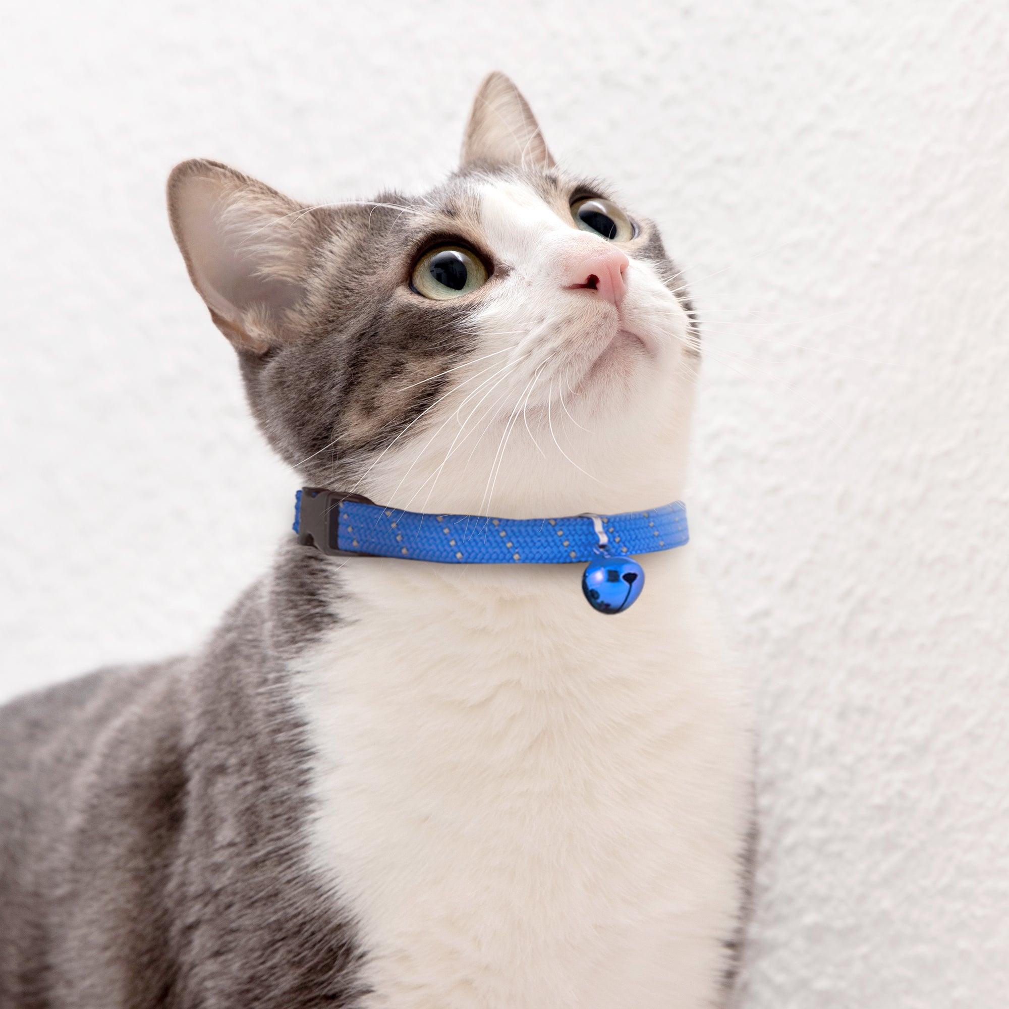 BirdsBeSafe Full Stretch Breakaway Cat Collar Bell Reflective Birdsbesafe