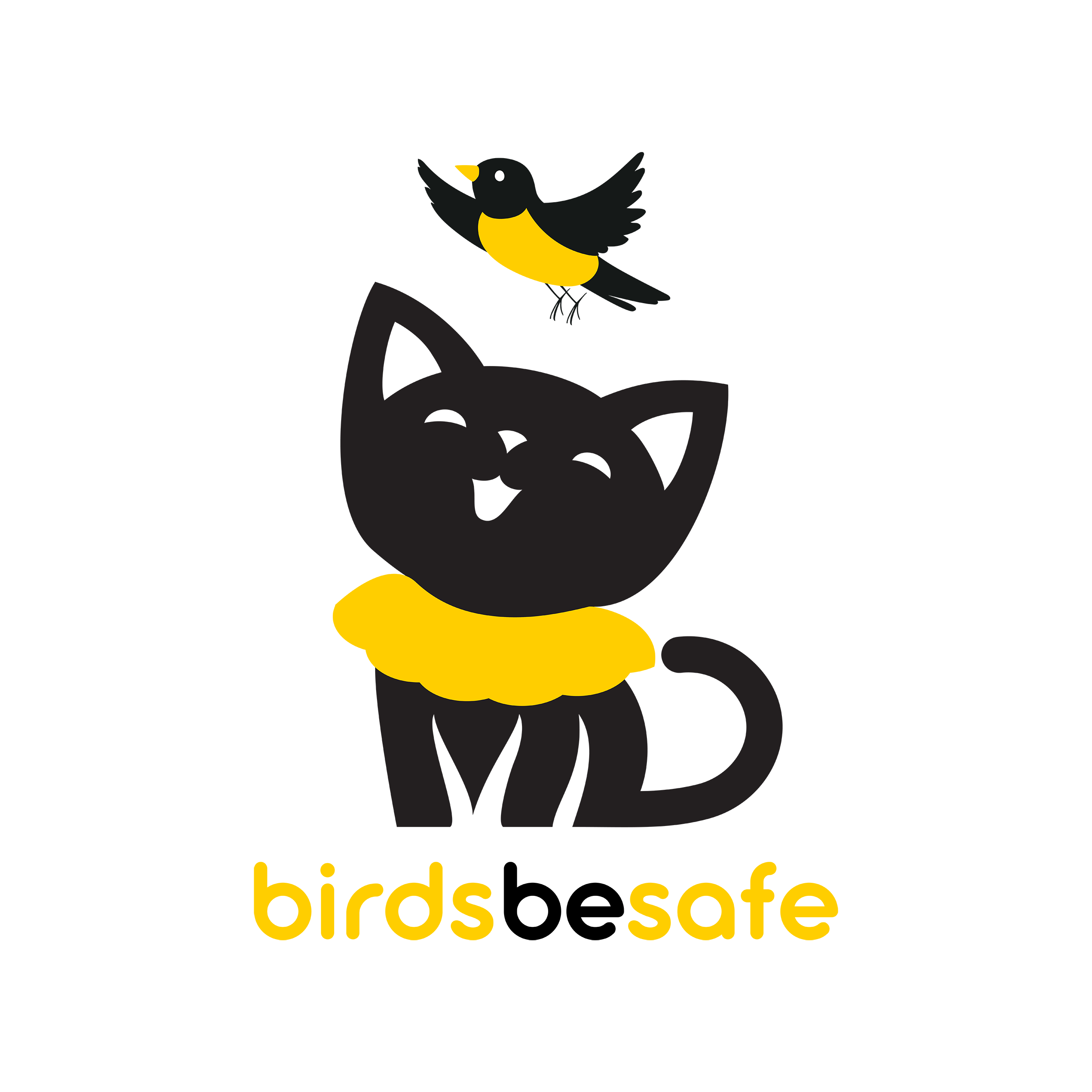 Birdsbesafe 