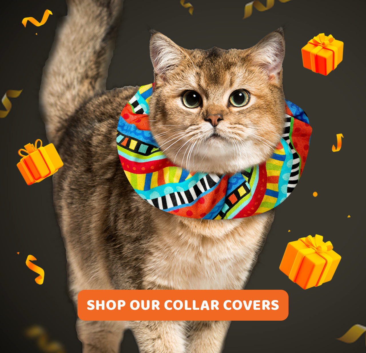 Shop Our Collar Covers